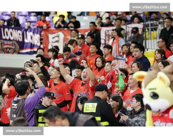 聚焦篮球赛事直播网站打造球迷实时观赛新体验平台全程高清互动服务 聚焦篮球赛事直播网站打造球迷实时观赛新体验平台全程高清互动服务